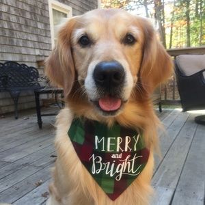 Dog Bandana - Merry and Bright - Small